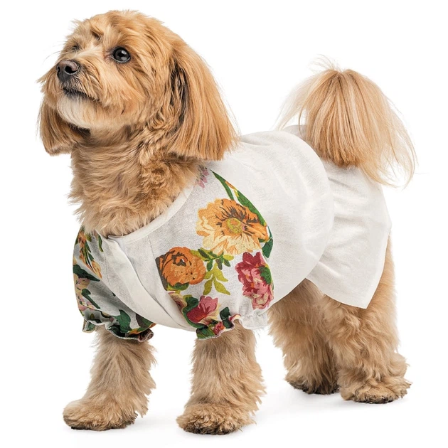 PET FASHION сорочка феникс S