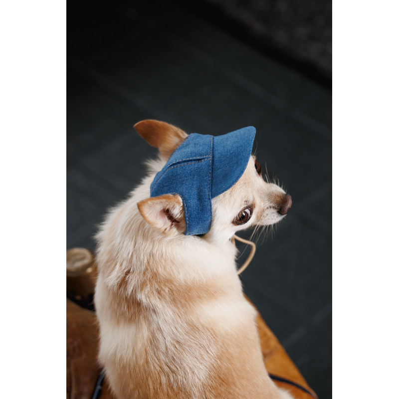 Кепка Pet Fashion Den для собак ХS, PR244526