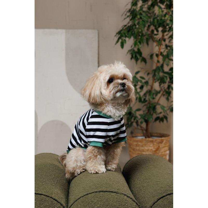 Футболка Pet Fashion Breeze для собак XS2