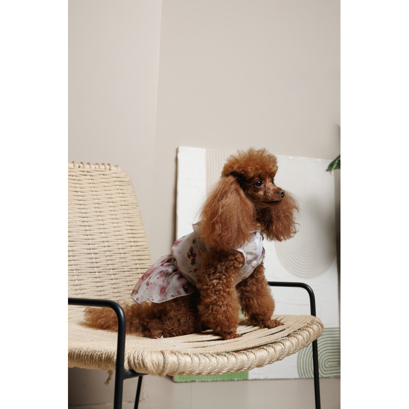 Сукня Pet Fashion Amelia для собак XS, PR244642