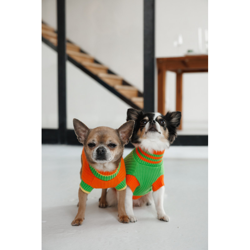 Светр Pet Fashion Rob для собак М зелений