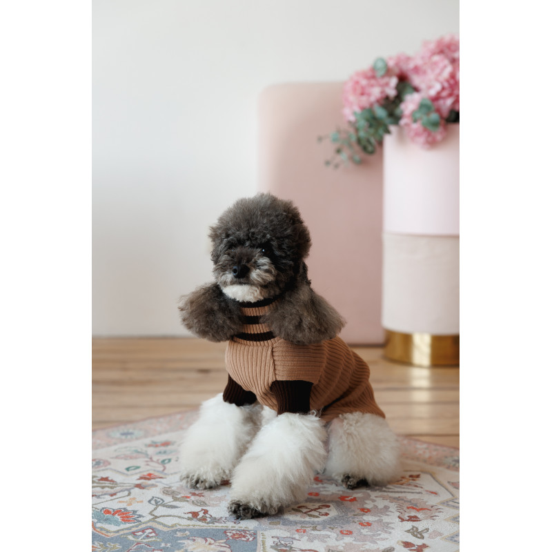Светр Pet Fashion Rob для собак XХS бежевий