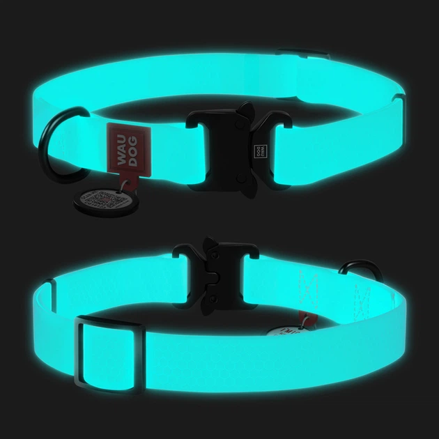 Нашийник для собак водостійкий WAUDOG Waterproof c QR паспортом, світонакоплювальний, Ш 25 мм, Дов 38-58 см
