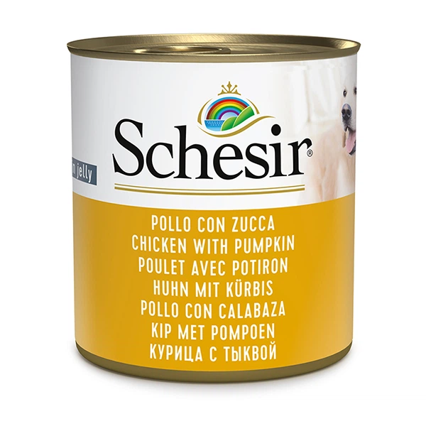 Schesir КУРКА З ГАРБУЗОМ (Chicken Pumpkin) в желе консерви для собак, банка, 285г(C2802)