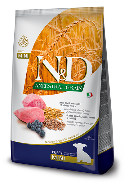 Фарміна дог сух N&D Low Grain LAMB & BLUEBERRY PUPPY MINI 800 gr 33697