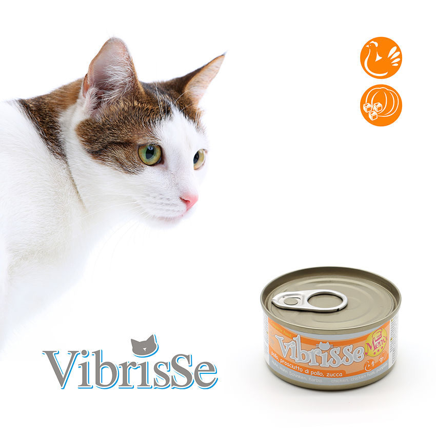 VIBRISSE MENU, курка з шинкою в гарбузовому соусі, 70г
