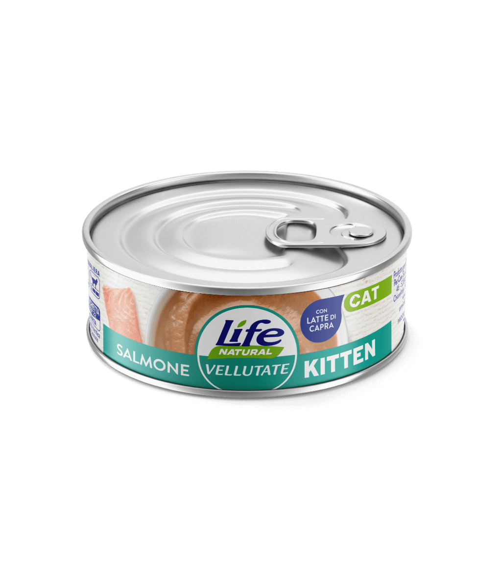 Lifecat 70 грам "Vellutate" для Кошенят Лосось 120117