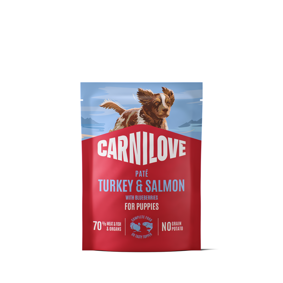 Корм вологий Carnilove Pate Salmon with Blueberries for Puppies пауч для цуценят з лососем і чорницею 300 г aрт.111699/537730