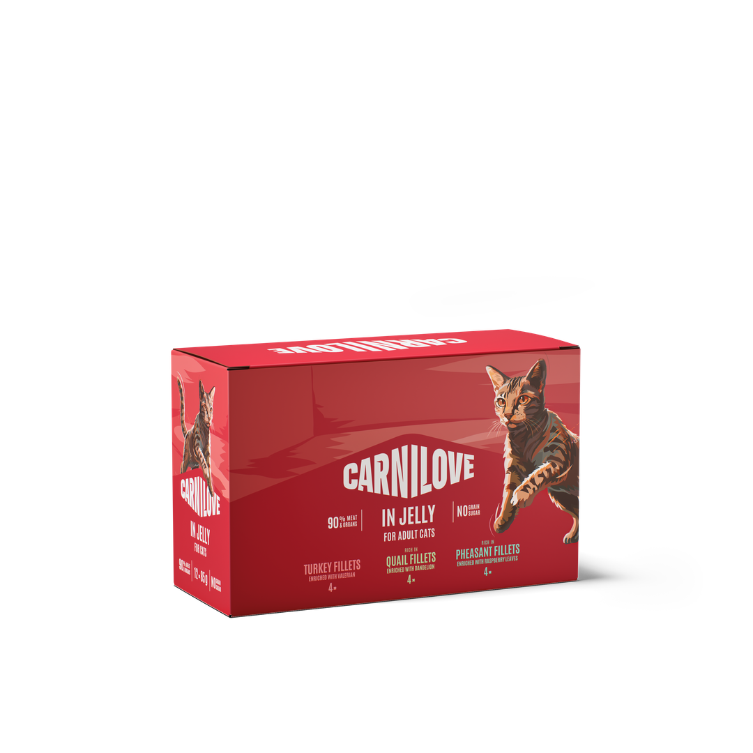 Корм вологий Carnilove Джеллі Мультіпак д/котів в желе в асортименті 12x85 г арт.101383