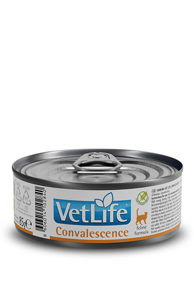 Фарміна кет волог Vet Life Convalescence дієт. харчування, для відновлення харчування та одужання, 85 г